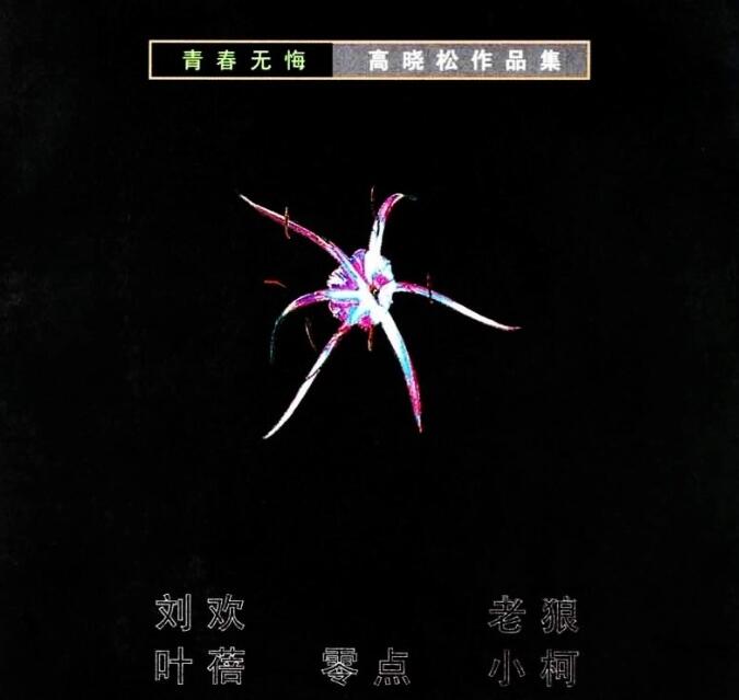 高晓松 – 《青春无悔 高晓松作品集》2002珍藏版[FLAC 无损]