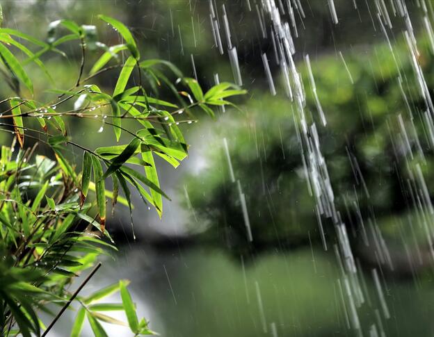 所爱隔山海，山海不可平：《Feeling The Rain》